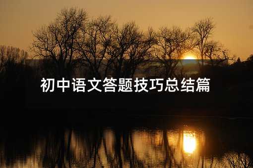 初中語文答題技巧總結(jié)篇