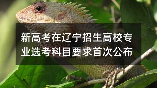 新高考在遼寧招生高校專業選考科目要求首次公布