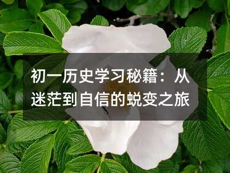 初一歷史學(xué)習(xí)秘籍:從迷茫到自信的蛻變之旅