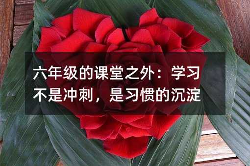 ���꼉���n��֮�⣺�W�����Ǜ_�̣������T�ĳ���