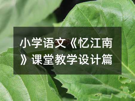 С�W(xu��)�Z�ġ������ϡ��n�ý̌W(xu��)�O(sh��)Ӌƪ