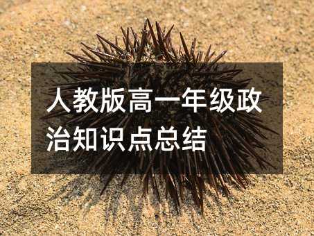 人教版高一年級政治知識點總結