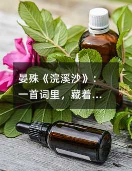 晏殊《浣溪沙》:一首詞里,藏著所有家長都懂的無奈與希望
