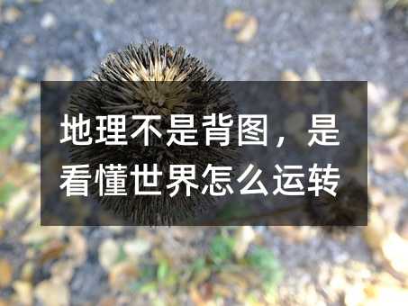 ǱDǿô\D