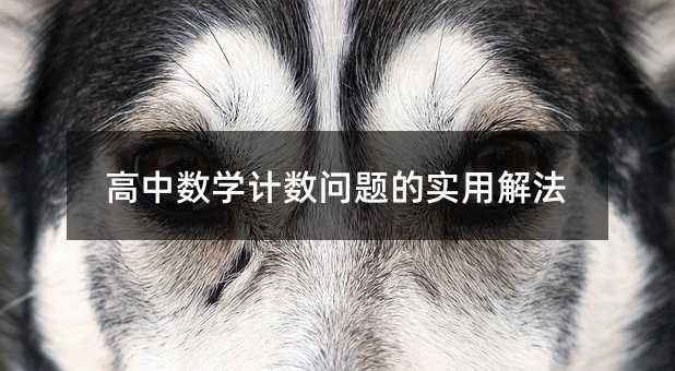 高中數學計數問題的實用解法