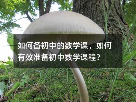 如何備初中的數學課,如何有效準備初中數學課程?