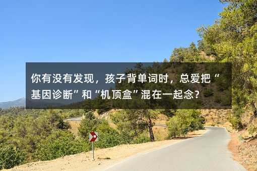 你有沒有發現,孩子背單詞時,總愛把“基因診斷”和“機頂盒”混在一起念?