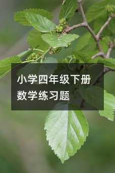 小學(xué)四年級(jí)下冊(cè)數(shù)學(xué)練習(xí)題