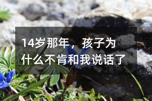 14歲那年,孩子為什么不肯和我說話了
