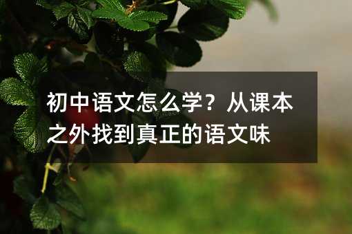初中語文怎么學?從課本之外找到真正的語文味
