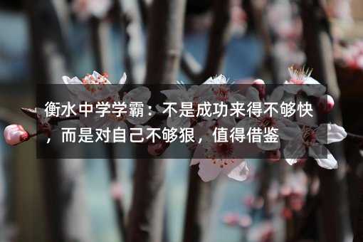 衡水中學學霸:不是成功來得不夠快,而是對自己不夠狠,值得借鑒