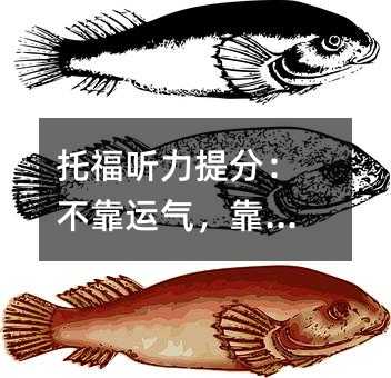 托福聽力提分:不靠運(yùn)氣,靠方法