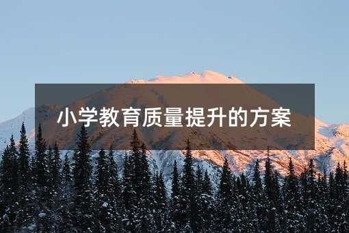 小學教育質量提升的方案