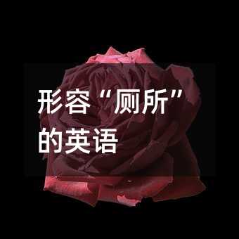 ݡӢZ