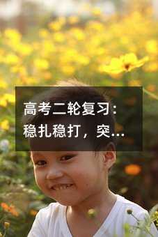 高考二輪復(fù)習(xí):穩(wěn)扎穩(wěn)打,突破瓶頸的關(guān)鍵階段