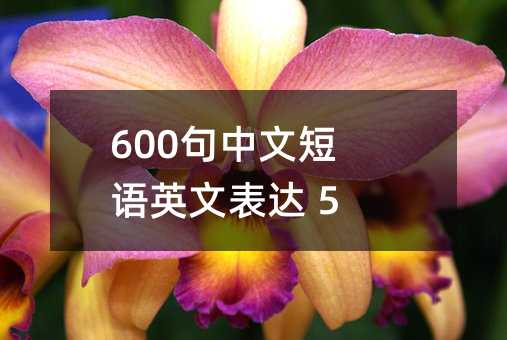 600句中文短語英文表達 5字篇