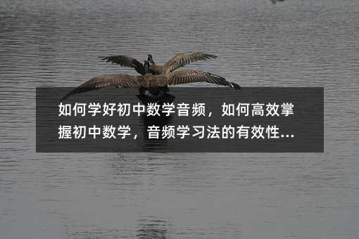 如何學(xué)好初中數(shù)學(xué)音頻,如何高效掌握初中數(shù)學(xué),音頻學(xué)習(xí)法的有效性探討