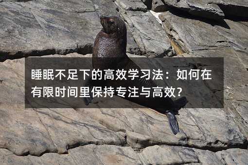 睡眠不足下的高效學習法:如何在有限時間里保持專注與高效?