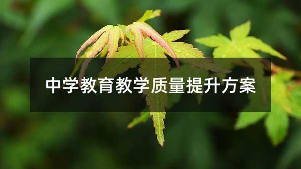 中學教育教學質量提升方案