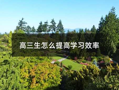 高三生怎么提高學習效率