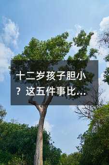 ʮ���q����đС���@����±��f(shu��)���e�¡�����