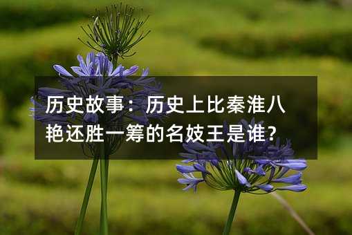 歷史故事:歷史上比秦淮八艷還勝一籌的名妓王是誰(shuí)?