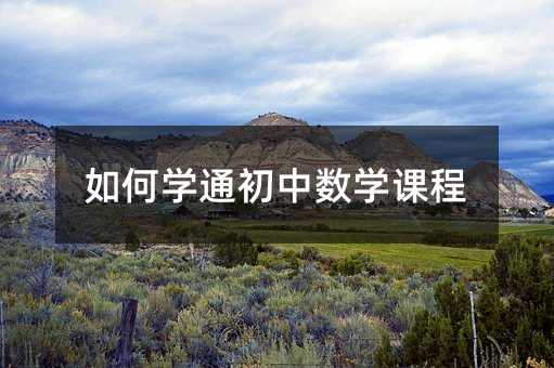如何學通初中數學課程