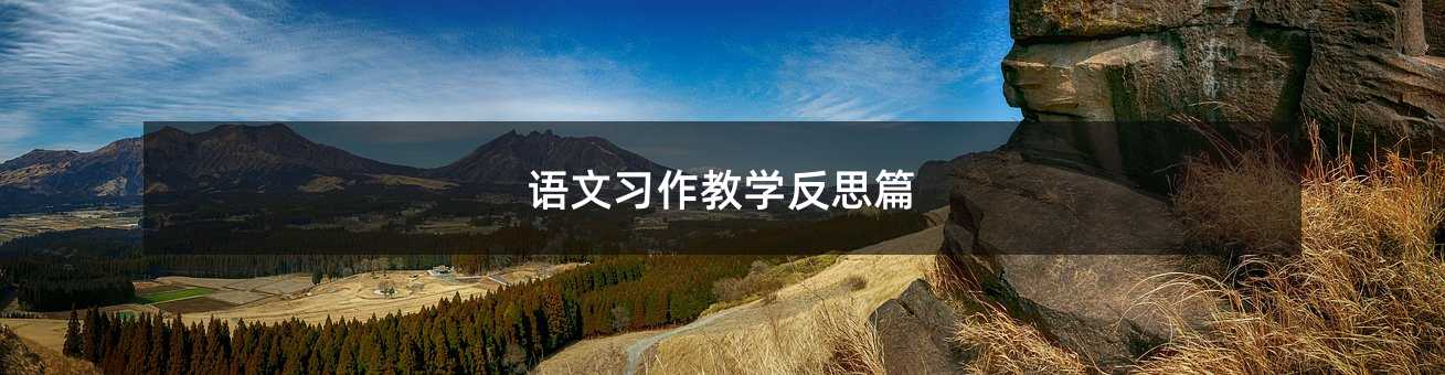 語(yǔ)文習(xí)作教學(xué)反思篇