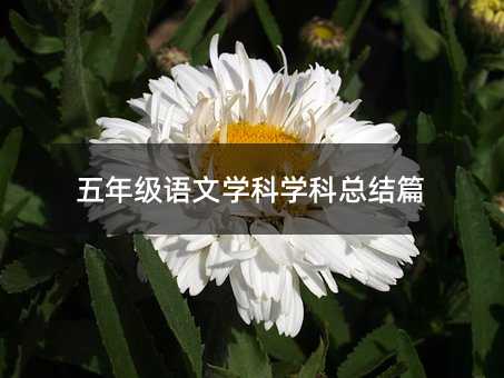 ���꼉(j��)�Z(y��)�ČW(xu��)�ƌW(xu��)�ƿ��Y(ji��)ƪ