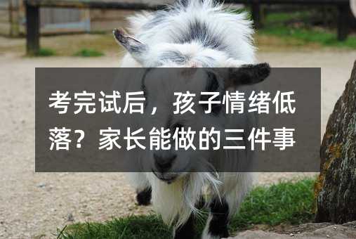 ����ԇ�󣬺�����w���䣿���L������������