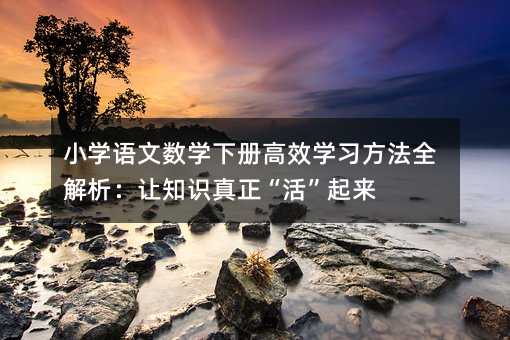 小學語文數(shù)學下冊高效學習方法全解析:讓知識真正“活”起來