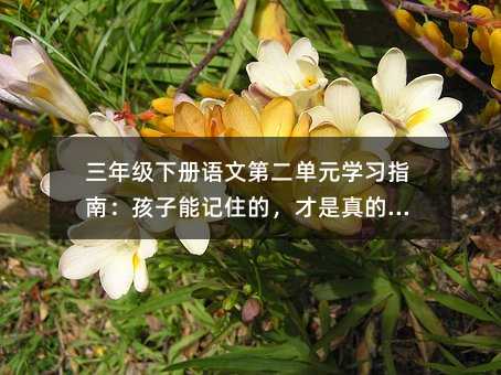 ���꼉(j��)��(c��)�Z(y��)�ĵڶ���Ԫ�W(xu��)��(x��)ָ�ϣ�������ӛס�ģ�������ČW(xu��)��(hu��)