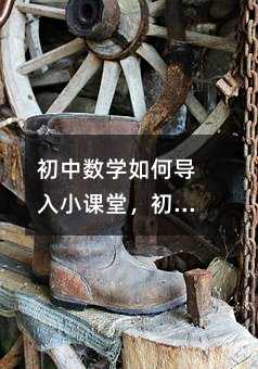 初中數(shù)學(xué)如何導(dǎo)入小課堂,初中數(shù)學(xué)如何有效導(dǎo)入小課堂?