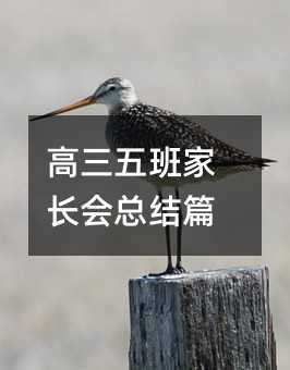 高三五班家長會總結(jié)篇