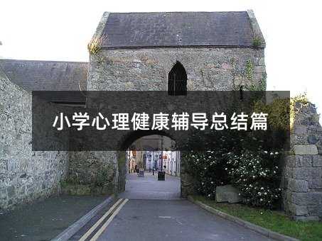小學心理健康輔導總結篇