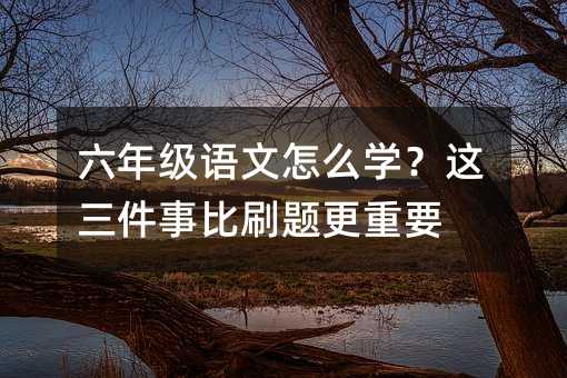 六年級(jí)語文怎么學(xué)?這三件事比刷題更重要
