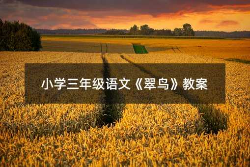 С�W���꼉�Z�ġ����B���̰�