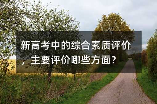 新高考中的綜合素質評價,主要評價哪些方面?