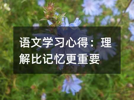 �Z�ČW(xu��)��(x��)�ĵã������ӛ������Ҫ