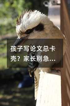 ӌՓĿL(zhng)e@8(g)~܎ϴæ