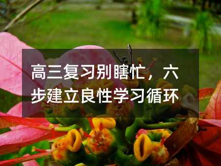 ���������eϹæ�������������ԌW��ѭ�h