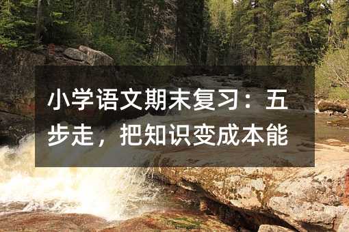 小學語文期末復習:五步走,把知識變成本能