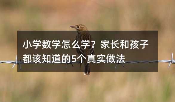 小學數學怎么學?家長和孩子都該知道的5個真實做法
