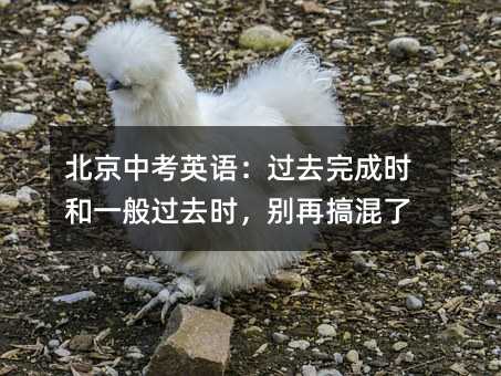 �����п�Ӣ�Z���^ȥ��ɕr(sh��)��һ���^ȥ�r(sh��)���e�ٸ����