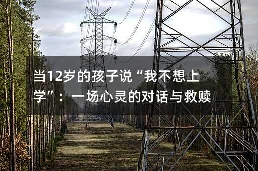 ��(d��ng)12�q�ĺ����f���Ҳ����όW(xu��)����һ��(ch��ng)���`�Č�(du��)Ԓ�c���H