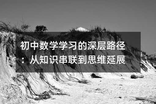 ���Д�(sh��)�W(xu��)�W(xu��)��(x��)�����·������֪�R(sh��)��(li��n)��˼�S��չ