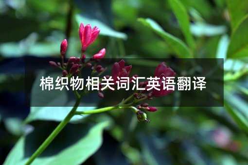 棉織物相關詞匯英語翻譯