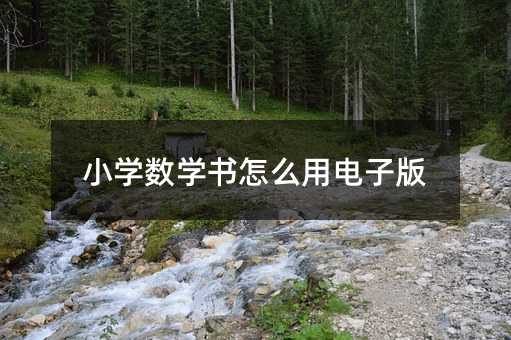 小學數學書怎么用電子版
