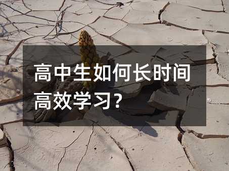 高中生如何長時間高效學習?