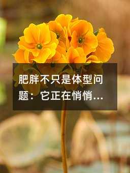 ���ֲ�ֻ���w�͆��}������������Ӱ푺��ӵ��п�ǰ;